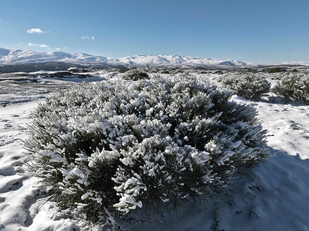 El Cerro - El Cerro I Villa Navarredonda de Gredos Exterior foto